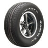 225/70-15 100H Vitour Galaxy R1 Radial G/T white letters