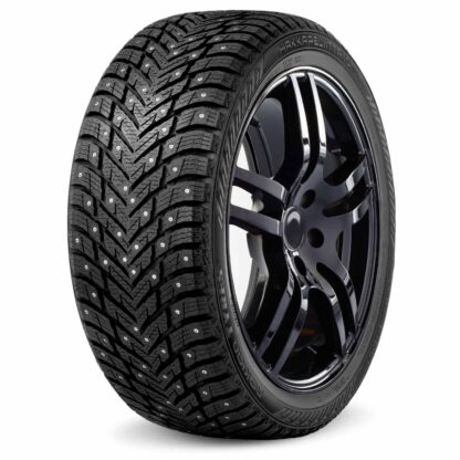 Nokian Hakkapeliitta 10