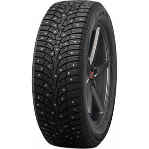 205/55R17 95T XL Nankang Ice Activa SW-9