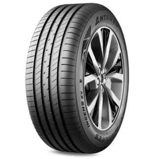 ANTARES 205/55R16 91V INGENS EV