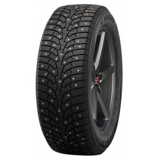 205/55R16 94T XL Nankang SW-9